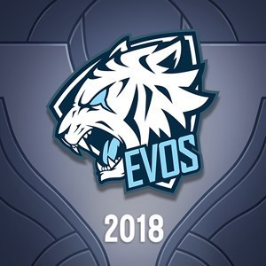 2018 VCS EVOS