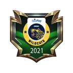 fastPay Wildcats MSI 2021