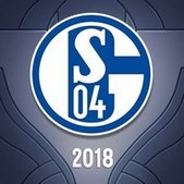 2018 EU LCS Schalke04