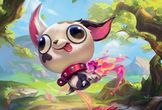 Chihuahua Cường Tráng 3